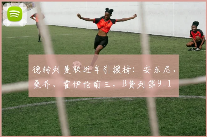 德转列曼联近年引援榜：安东尼、桑乔、霍伊伦前三，B费列第9_1