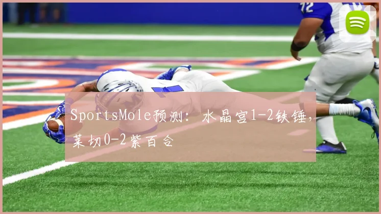 SportsMole预测：水晶宫1-2铁锤，莱切0-2紫百合