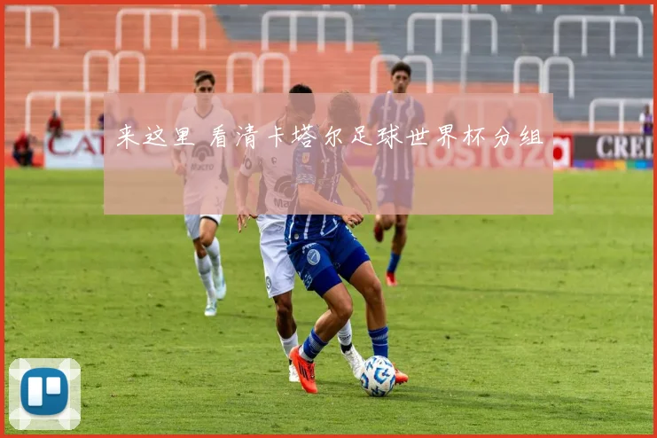 来这里 看清卡塔尔足球世界杯分组
